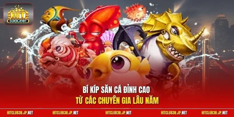 Bí kíp săn cá đỉnh cao từ các chuyên gia lâu năm