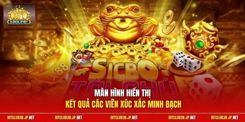 Màn hình hiển thị kết quả các viên xúc xắc minh bạch