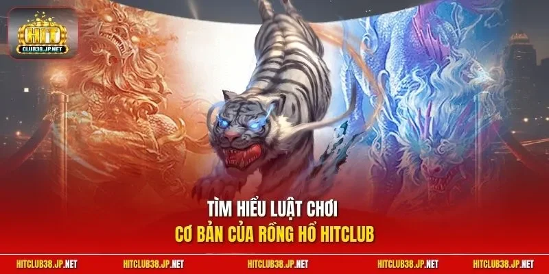 Tìm hiểu luật chơi cơ bản của Rồng Hổ HitClub